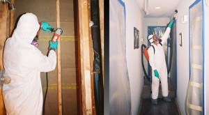 mold remediation technicians